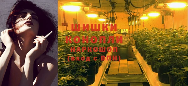 эйфоретик Елизово