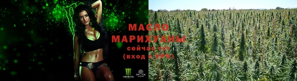 эйфоретик Елизово